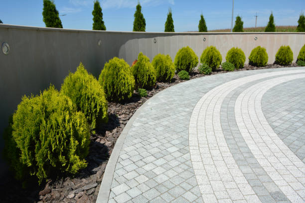 Best Commercial Driveway Pavers  in Elk Point, SD